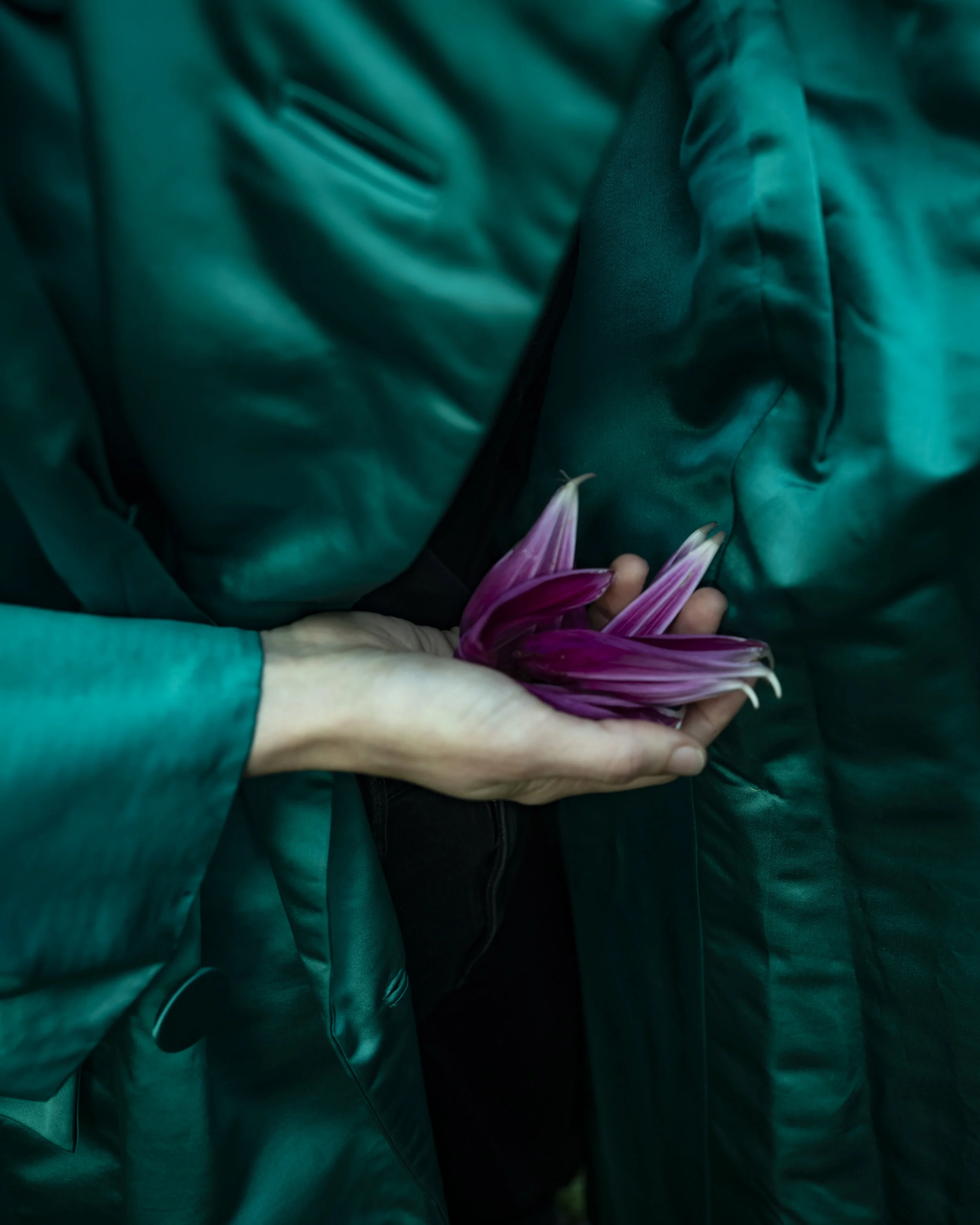 Exhibition Review: Cig Harvey, Eat Flowers — Musée Magazine